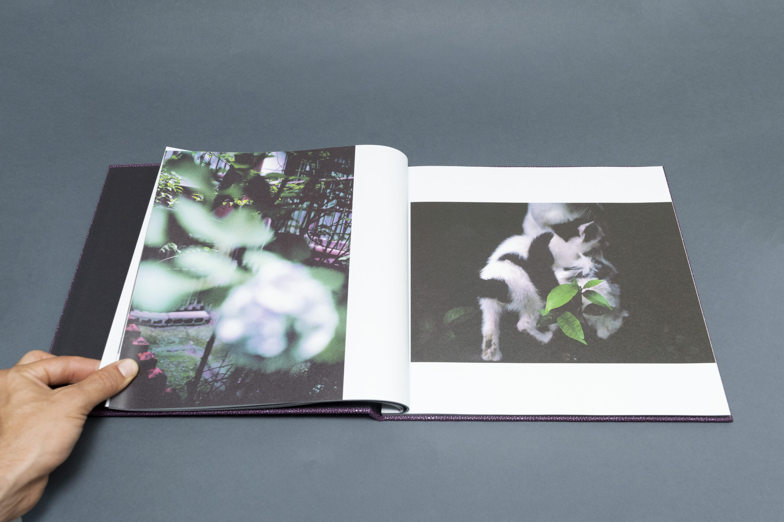 sightwalk Andrei Tarkovsky tokyo notturno haiku libri fotografia arte books biblioteca lab27